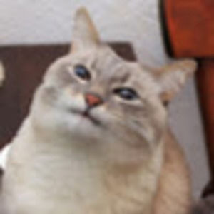 Meet your Posher, Candace